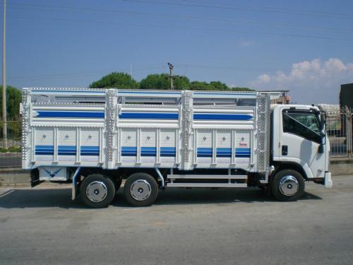 y (115)